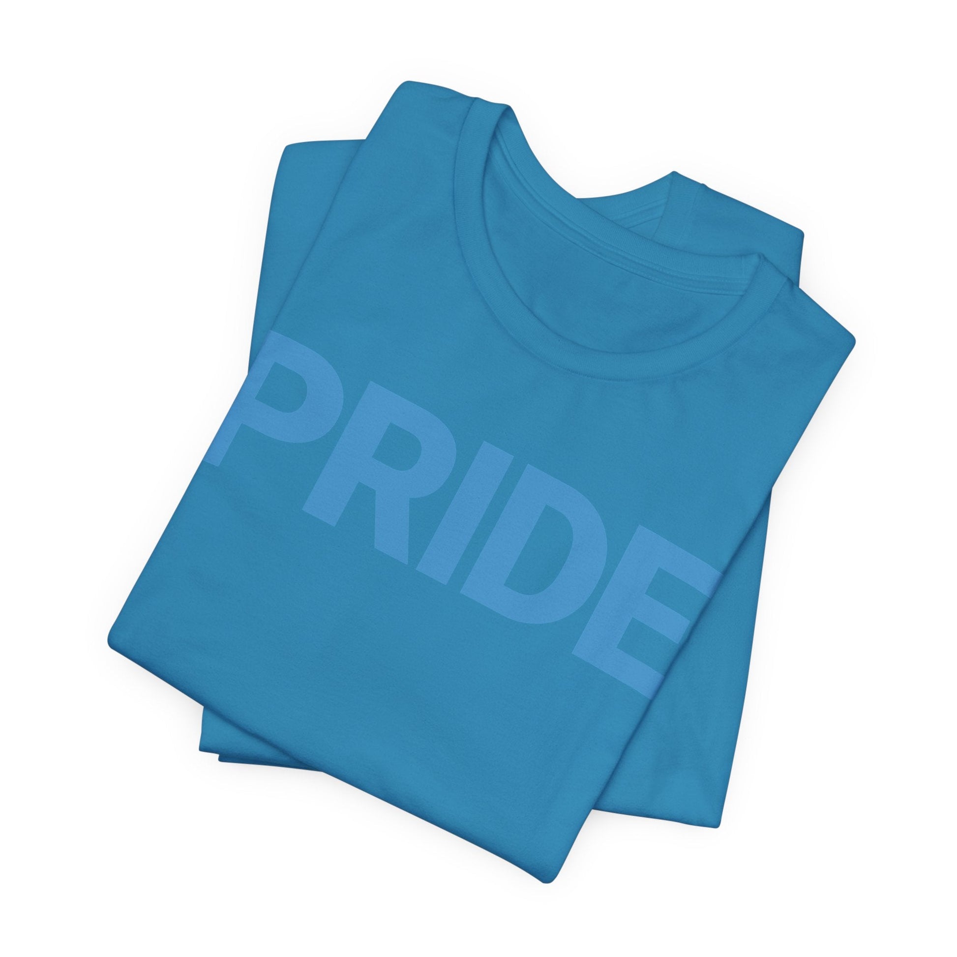 Ally Lemos Pride Softblend T-shirt | Chix Sports