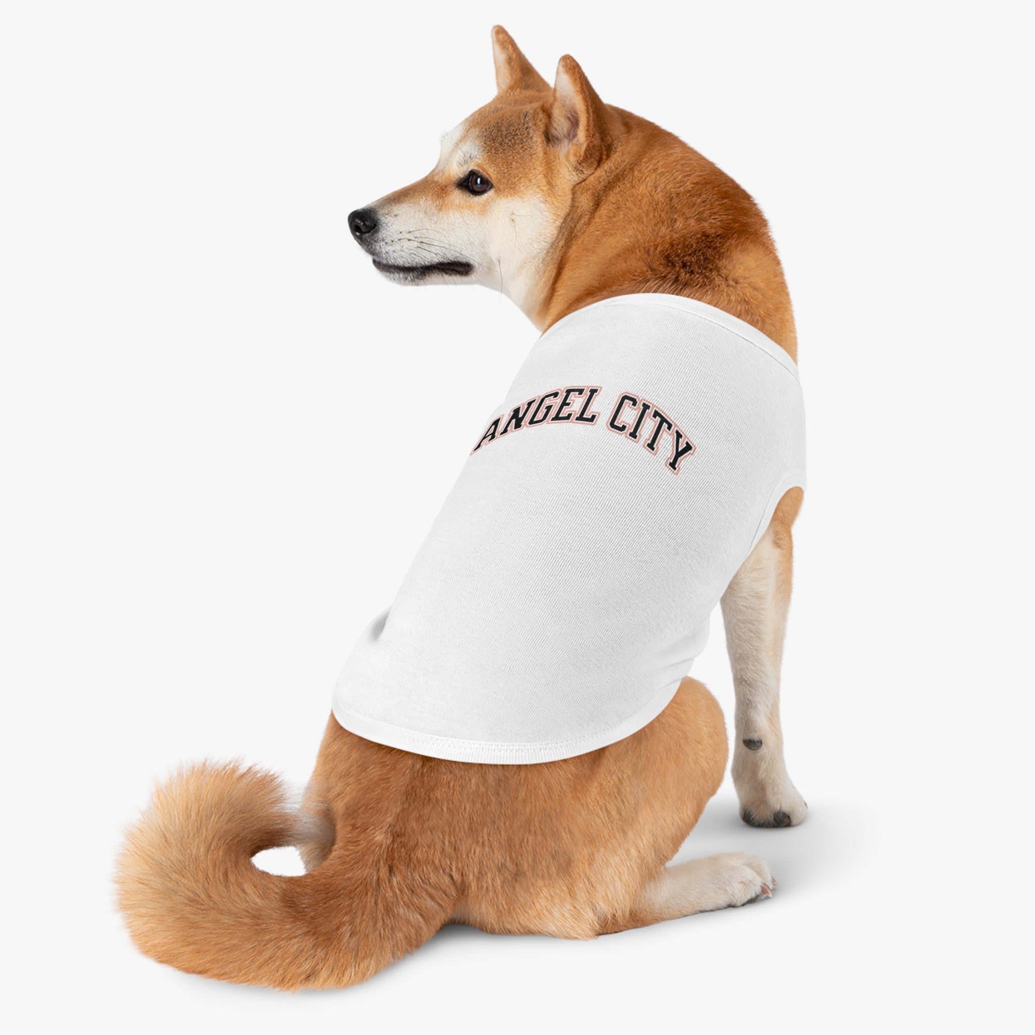 Angel City Dog Sweater | Chix Sports