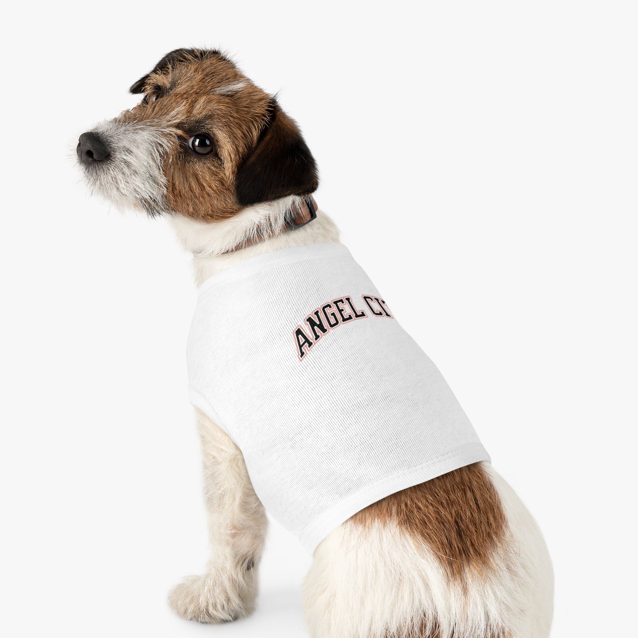 Angel City Dog Sweater | Chix Sports