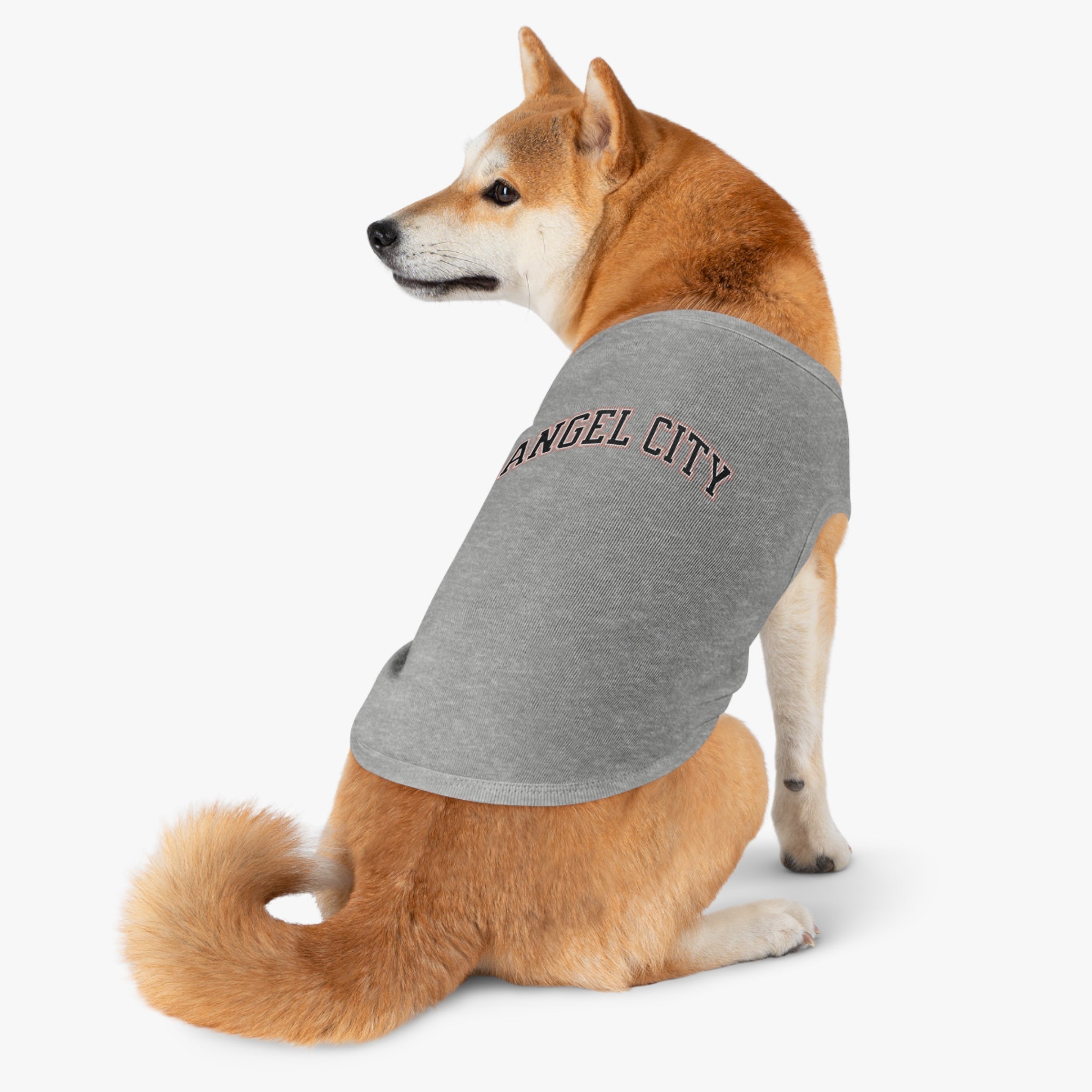 Angel City Dog Sweater | Chix Sports