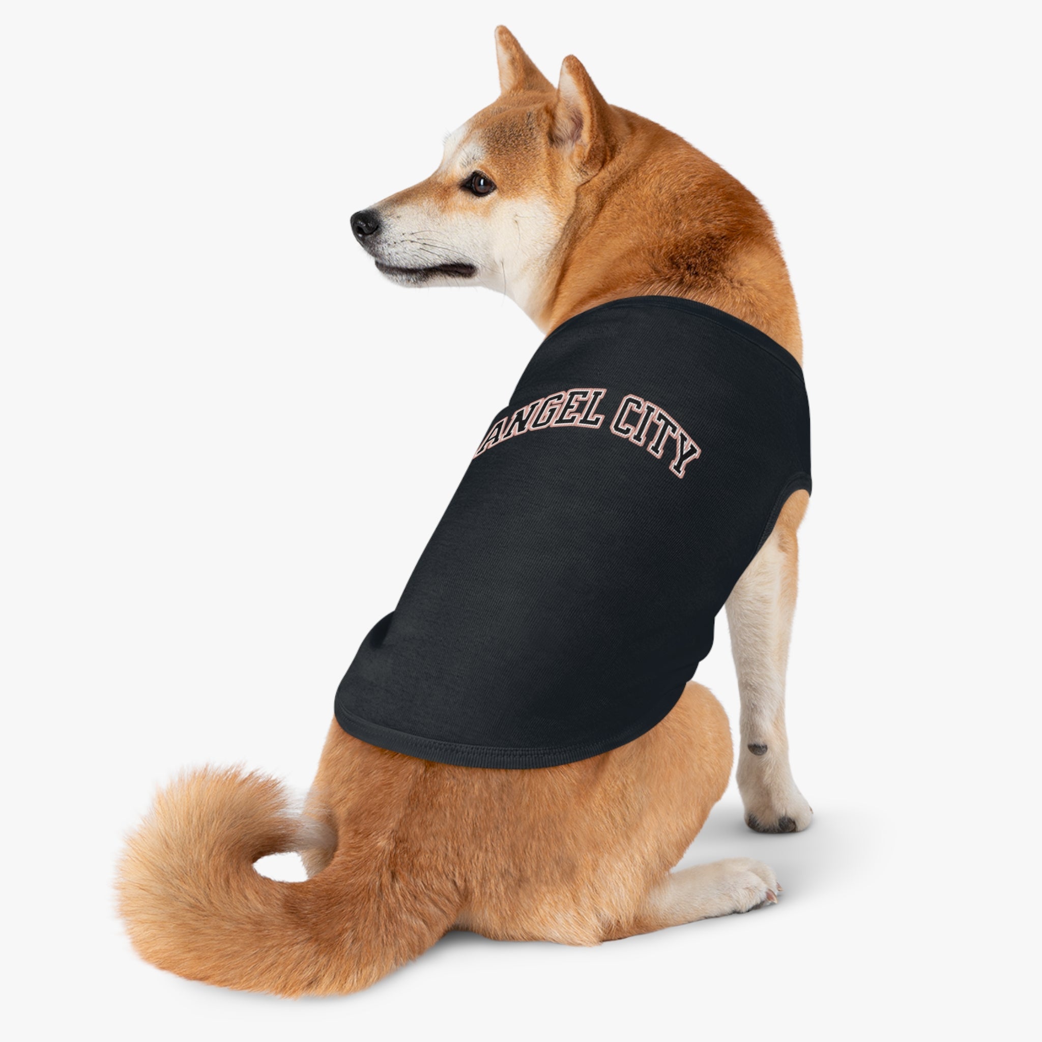 Angel City Dog Sweater | Chix Sports