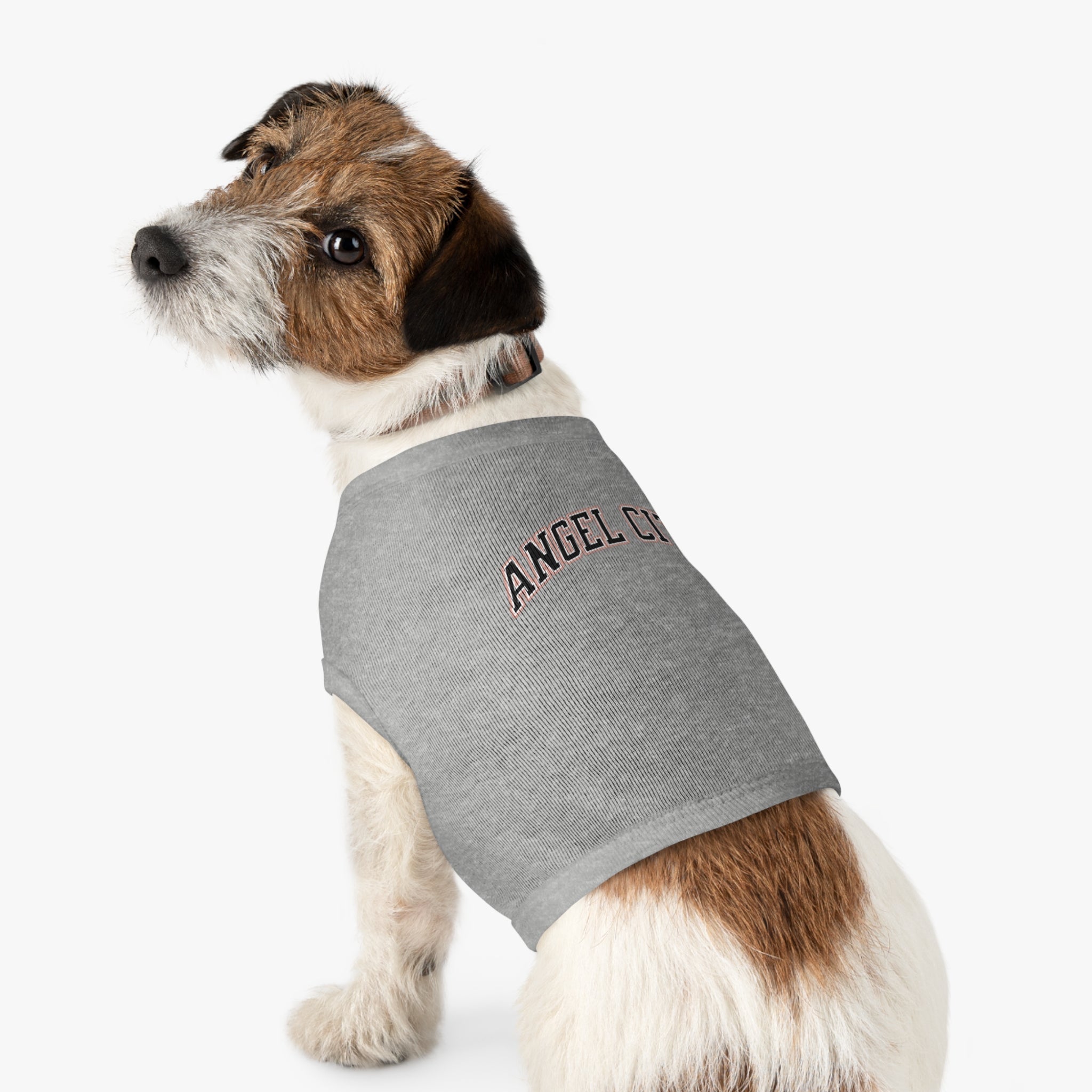 Angel City Dog Sweater | Chix Sports