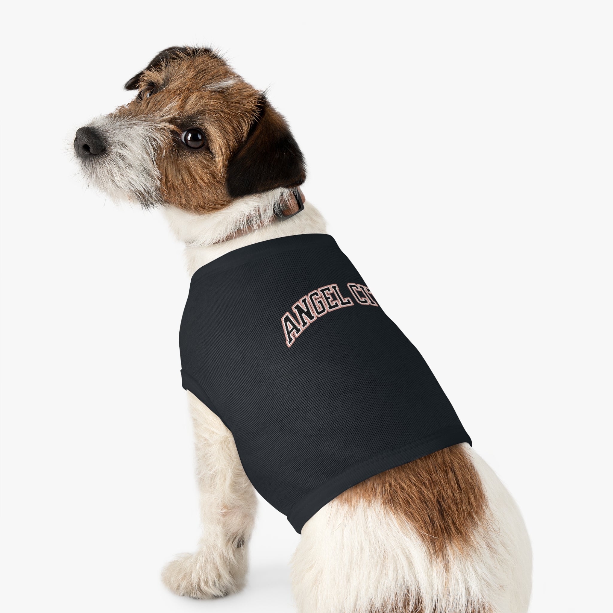 Angel City Dog Sweater | Chix Sports