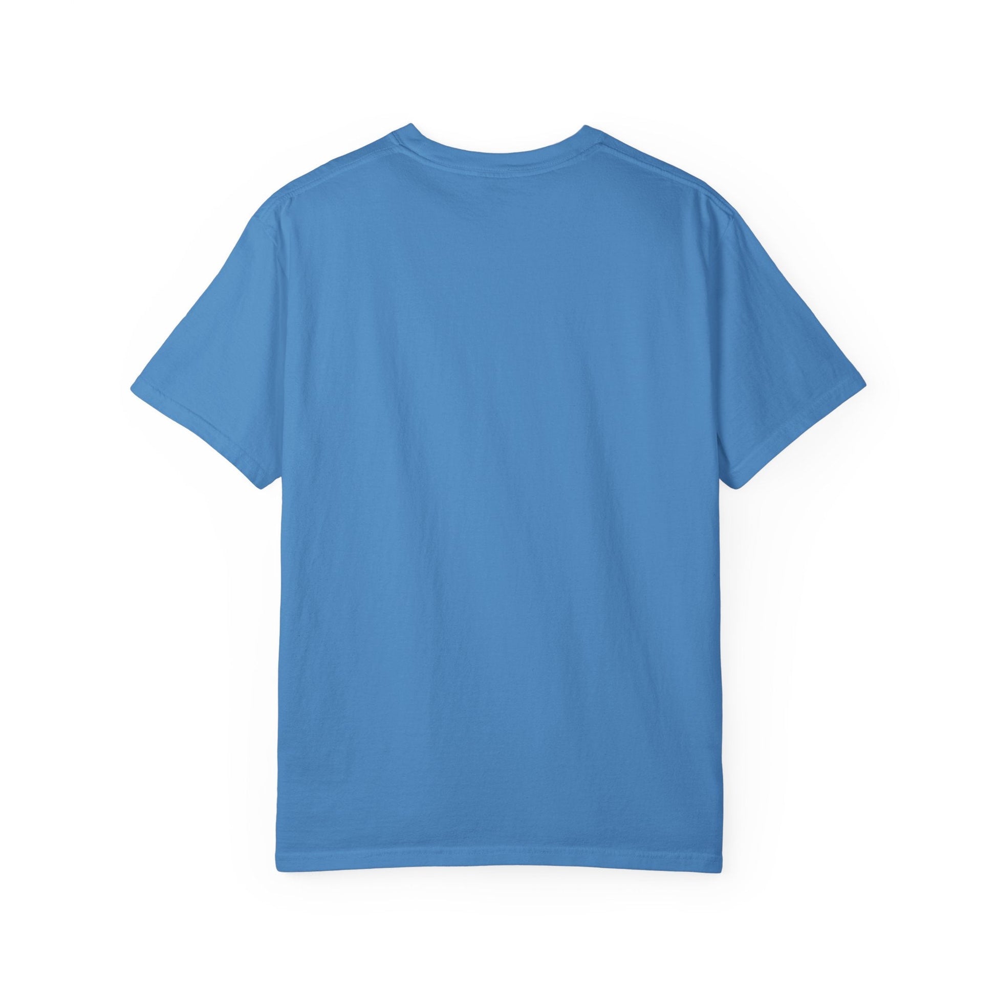 Chicago Stars Premium Unisex Shirt | Chix Sports