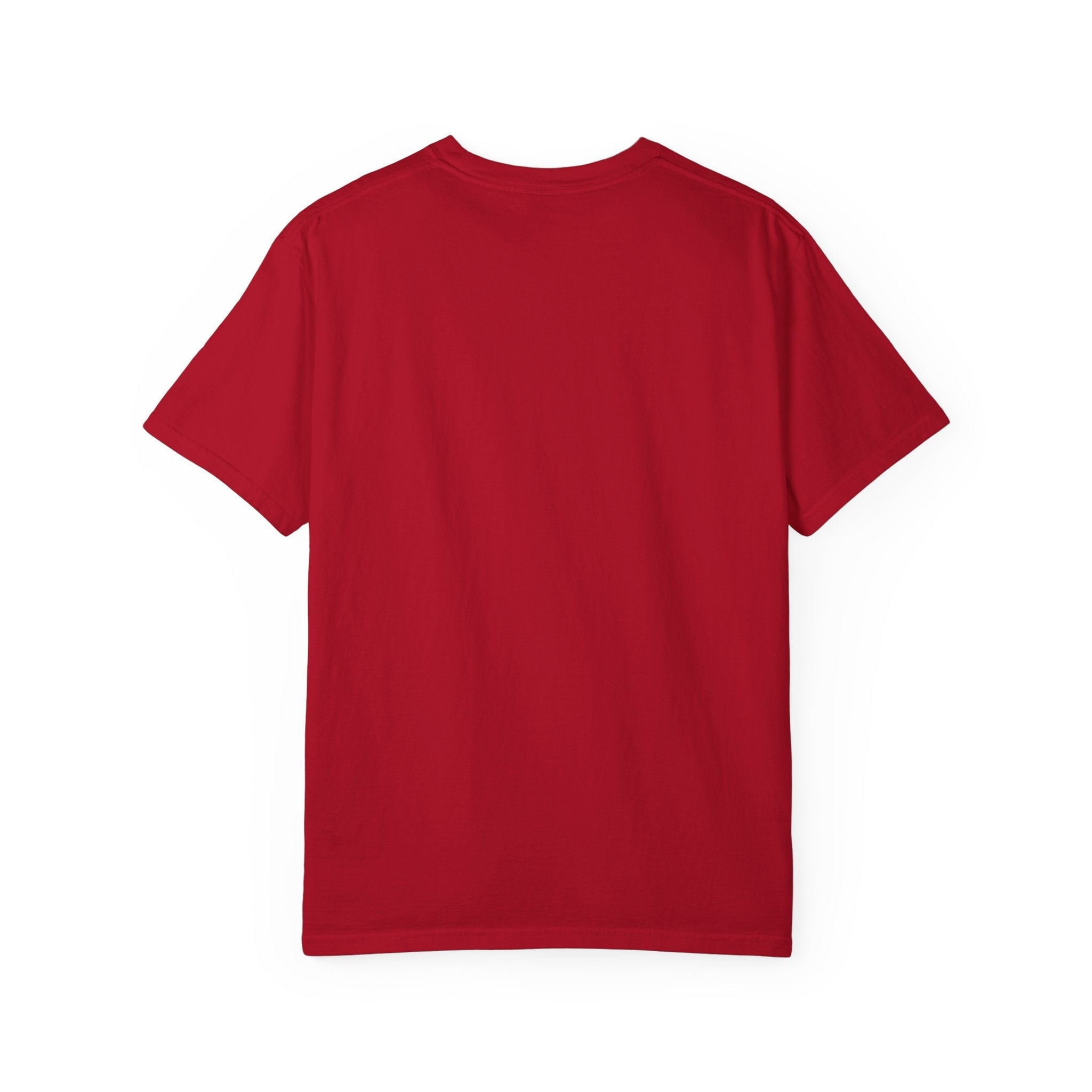 Chicago Stars Premium Unisex Shirt | Chix Sports