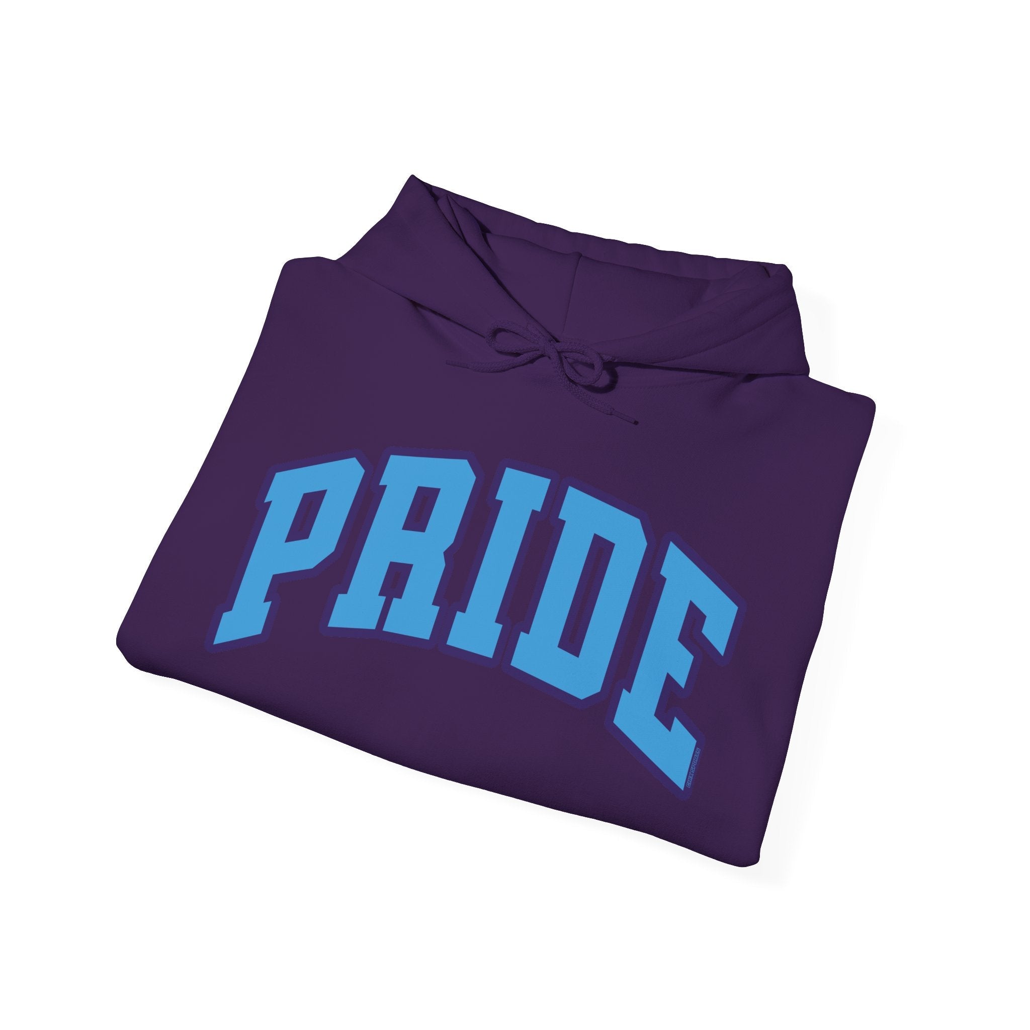 Orlando Unisex Heavy Hoodie | Chix Sports