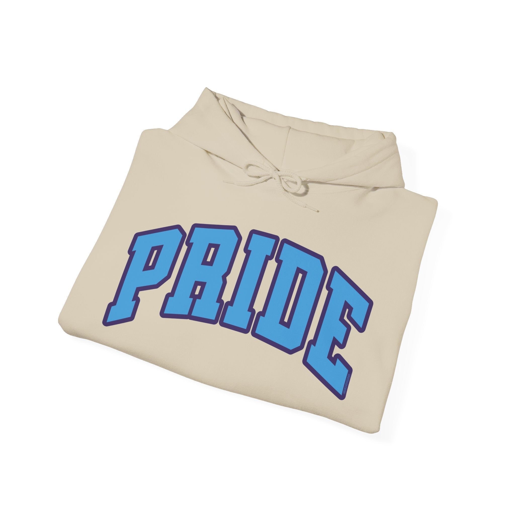 Orlando Unisex Heavy Hoodie | Chix Sports