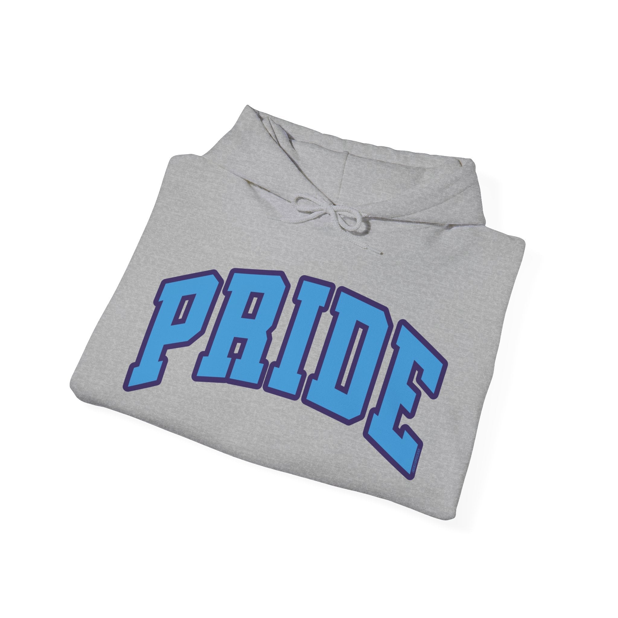 Orlando Unisex Heavy Hoodie | Chix Sports