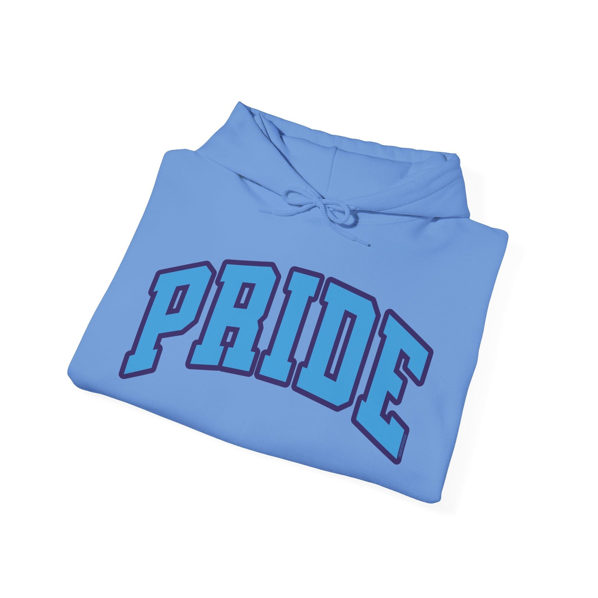 Orlando Unisex Heavy Hoodie | Chix Sports
