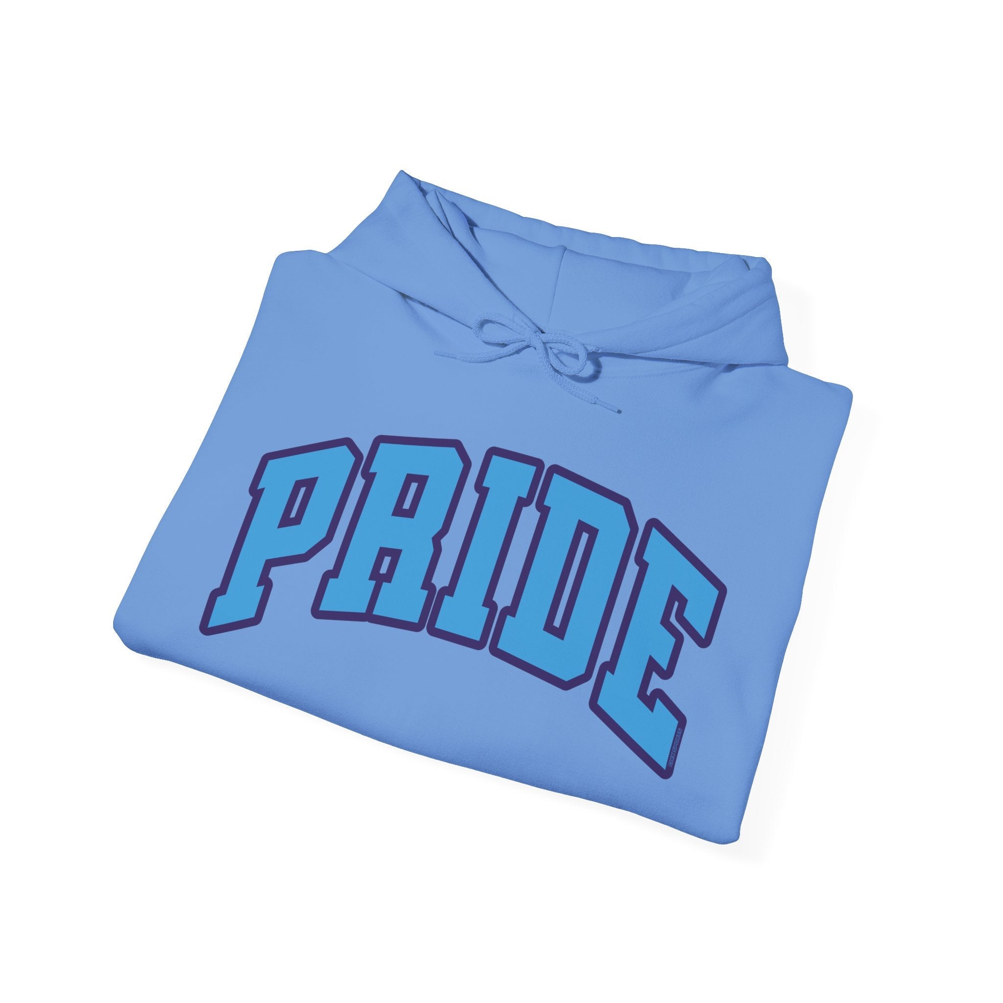 Orlando Unisex Heavy Hoodie | Chix Sports