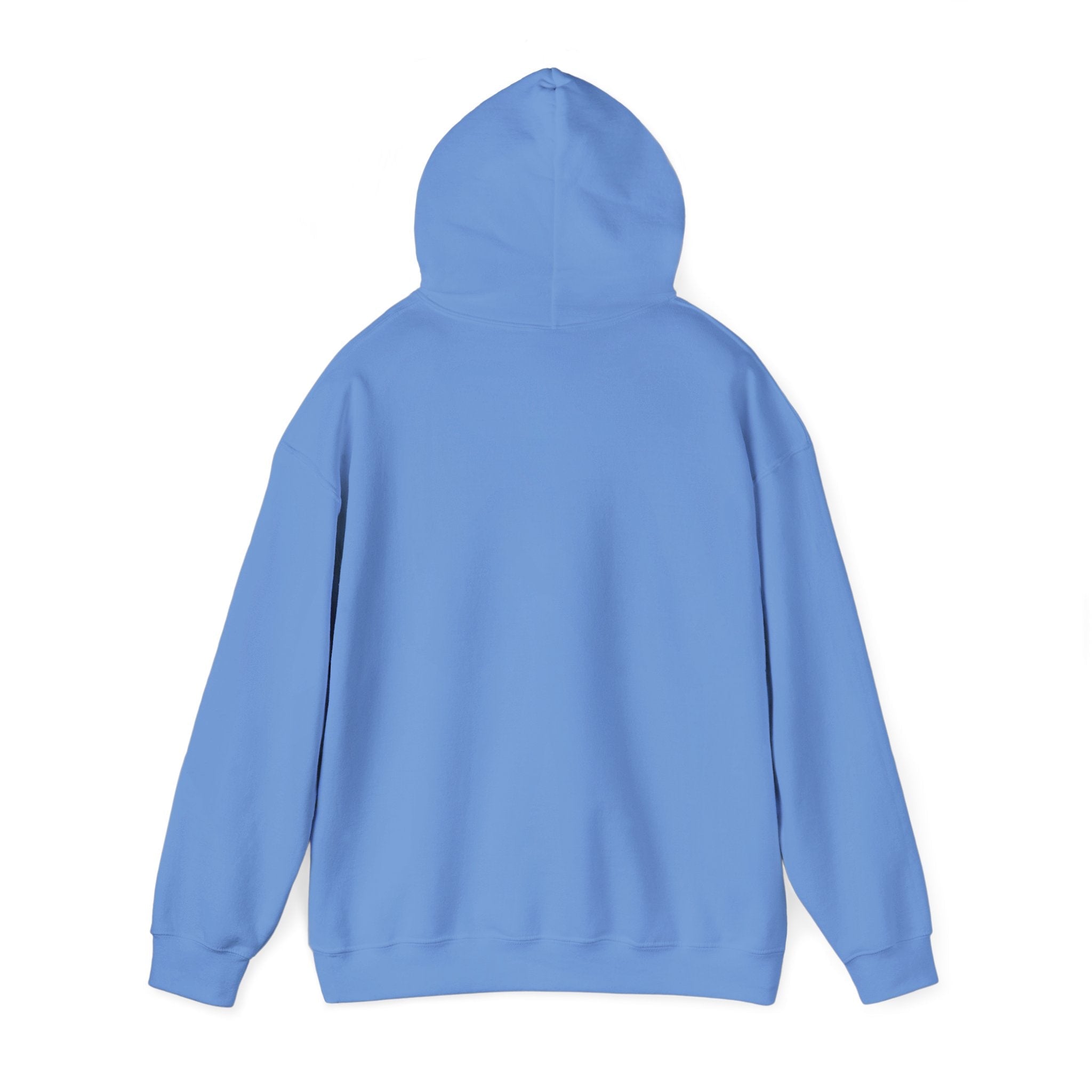 Orlando Unisex Heavy Hoodie | Chix Sports
