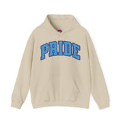 Orlando Unisex Heavy Hoodie | Chix Sports