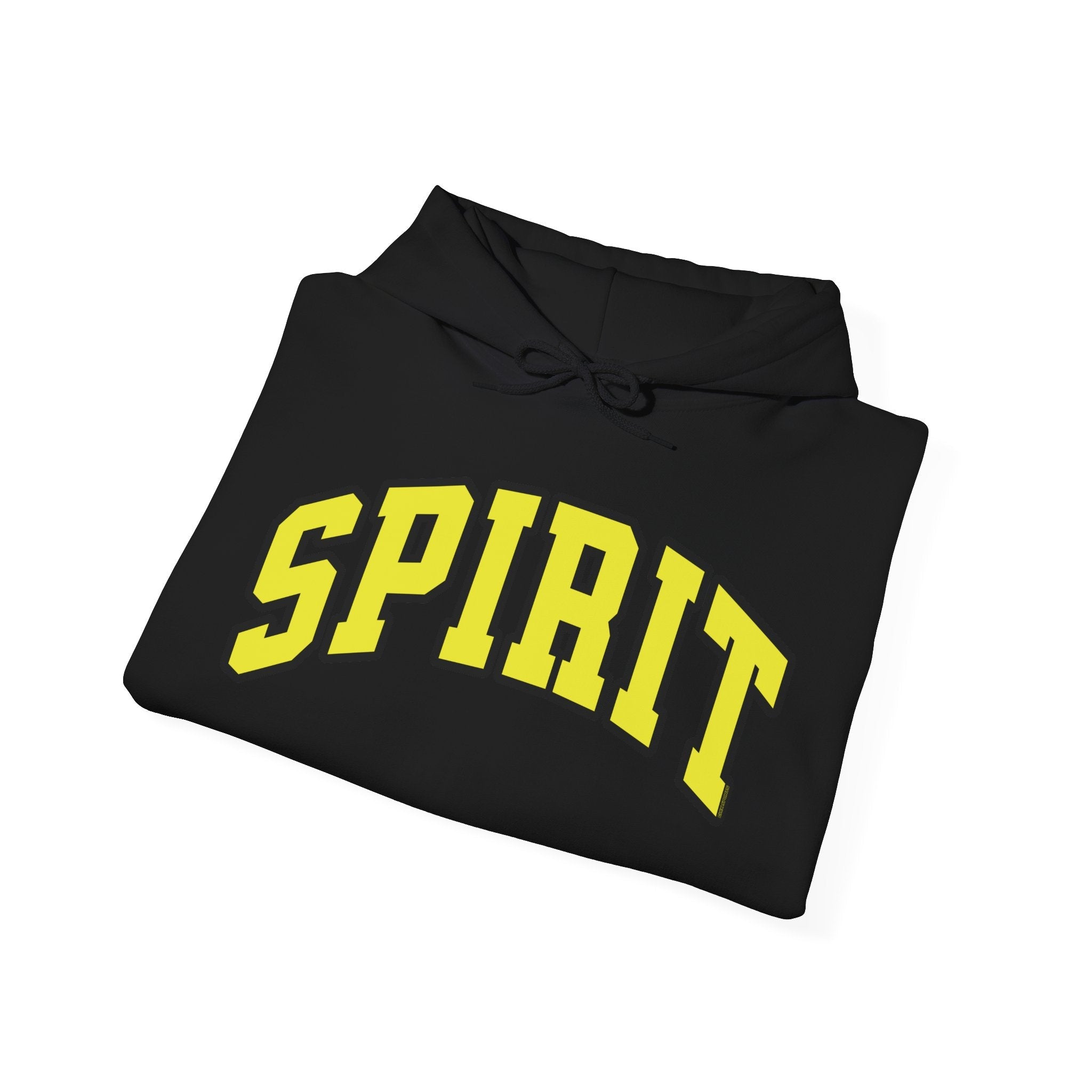 Spirit Unisex Heavy Hoodie | Chix Sports