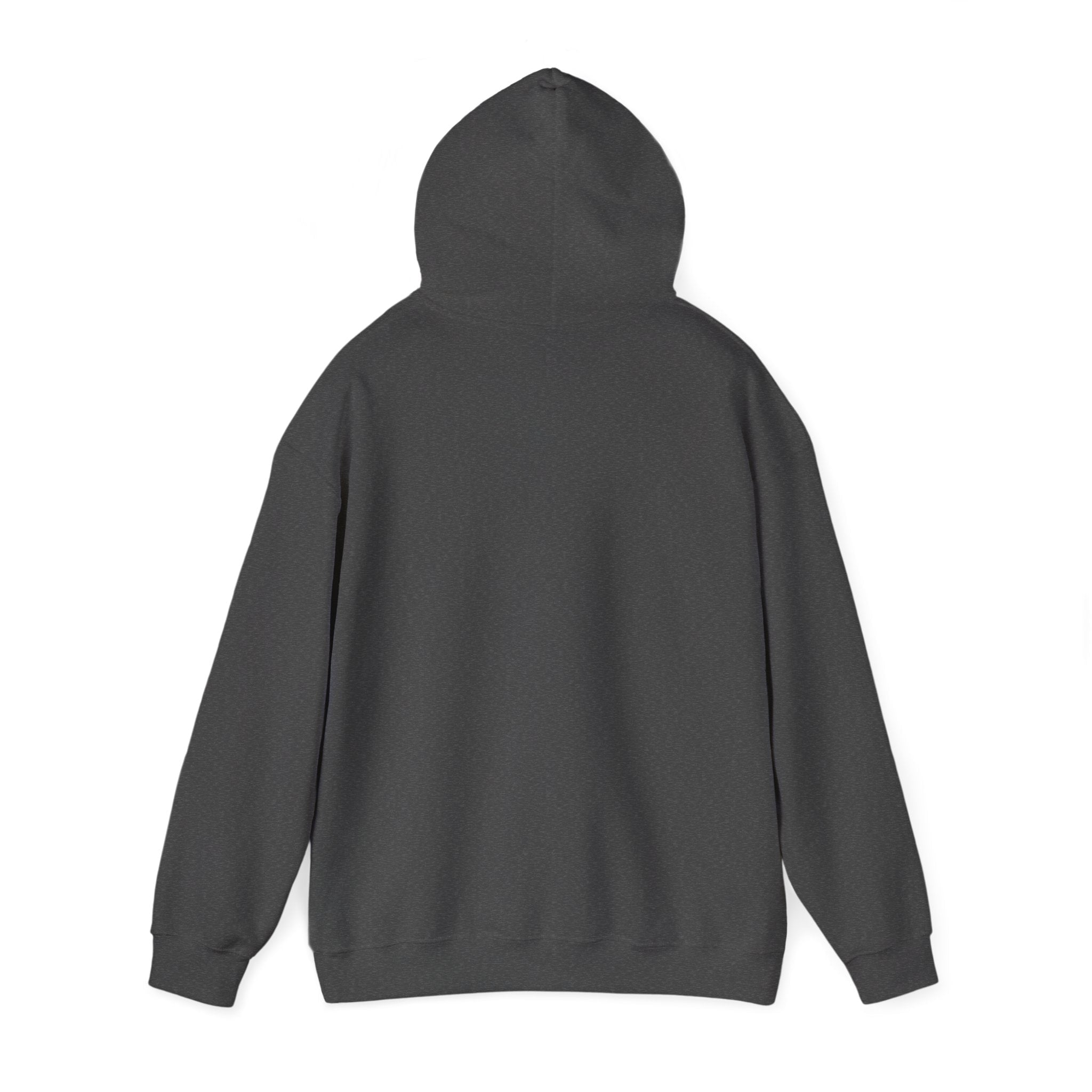 Spirit Unisex Heavy Hoodie | Chix Sports