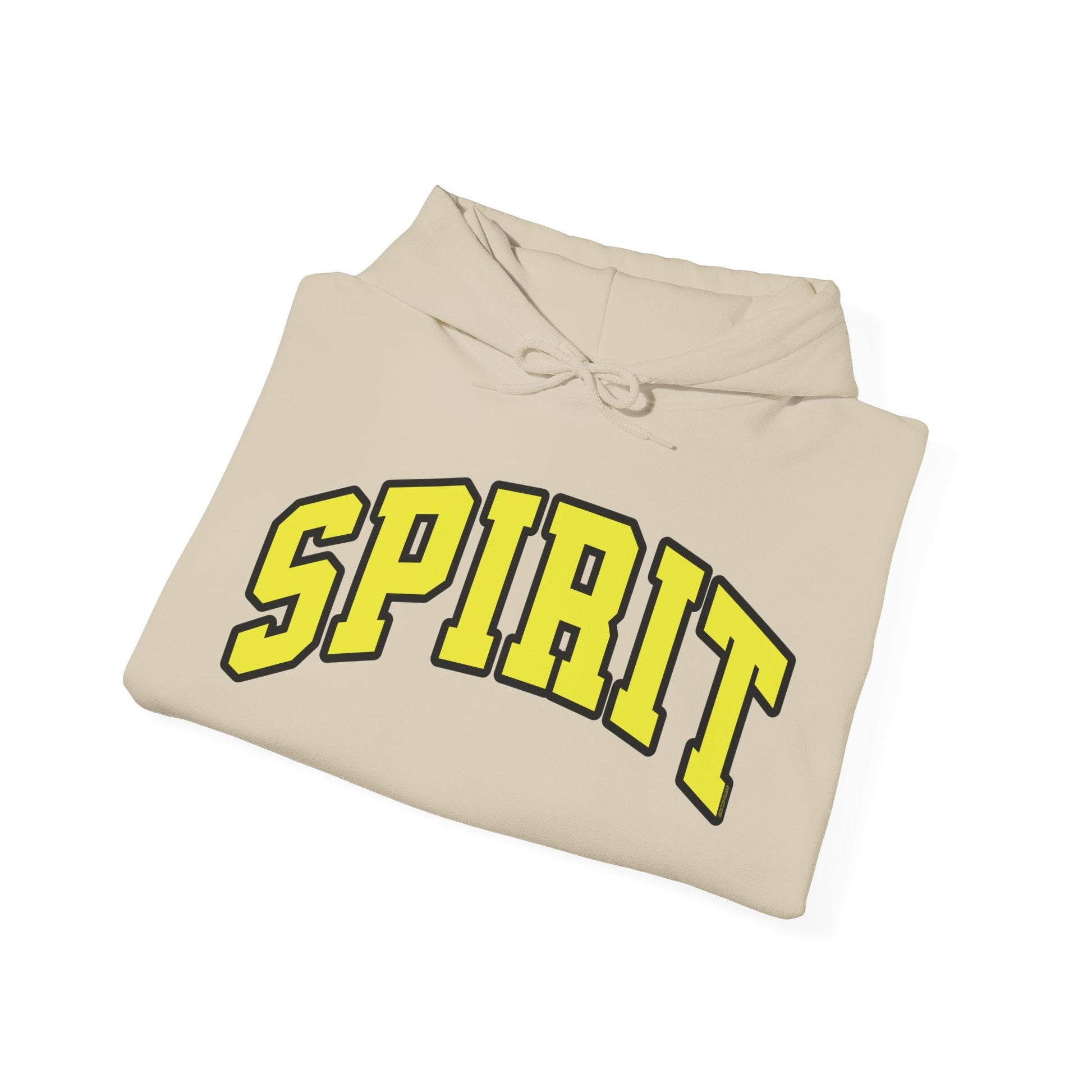 Spirit Unisex Heavy Hoodie | Chix Sports