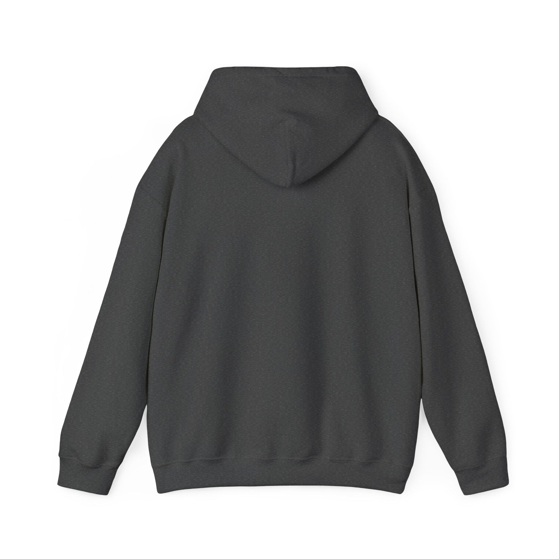 Spirit Unisex Heavy Hoodie | Chix Sports