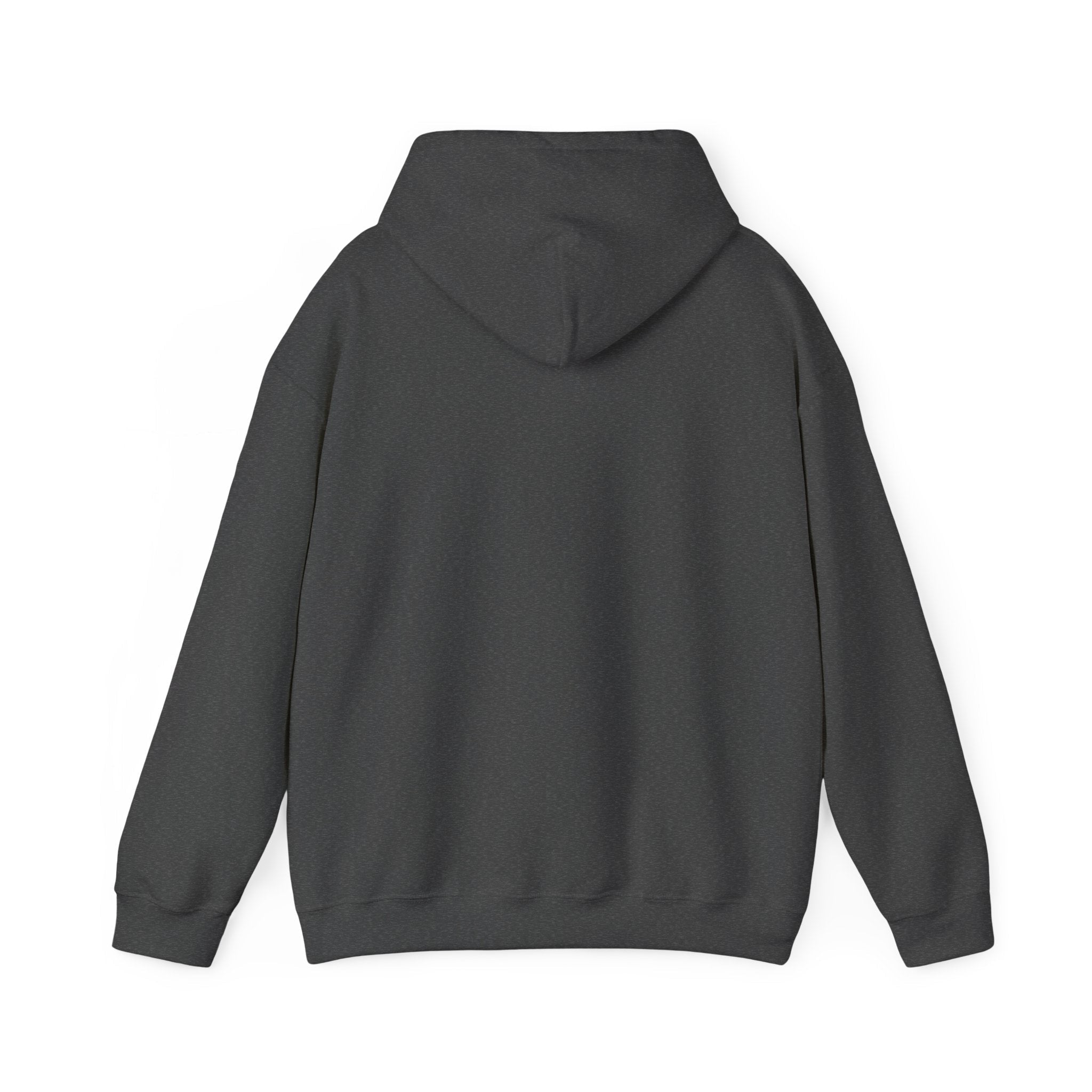 Spirit Unisex Heavy Hoodie | Chix Sports