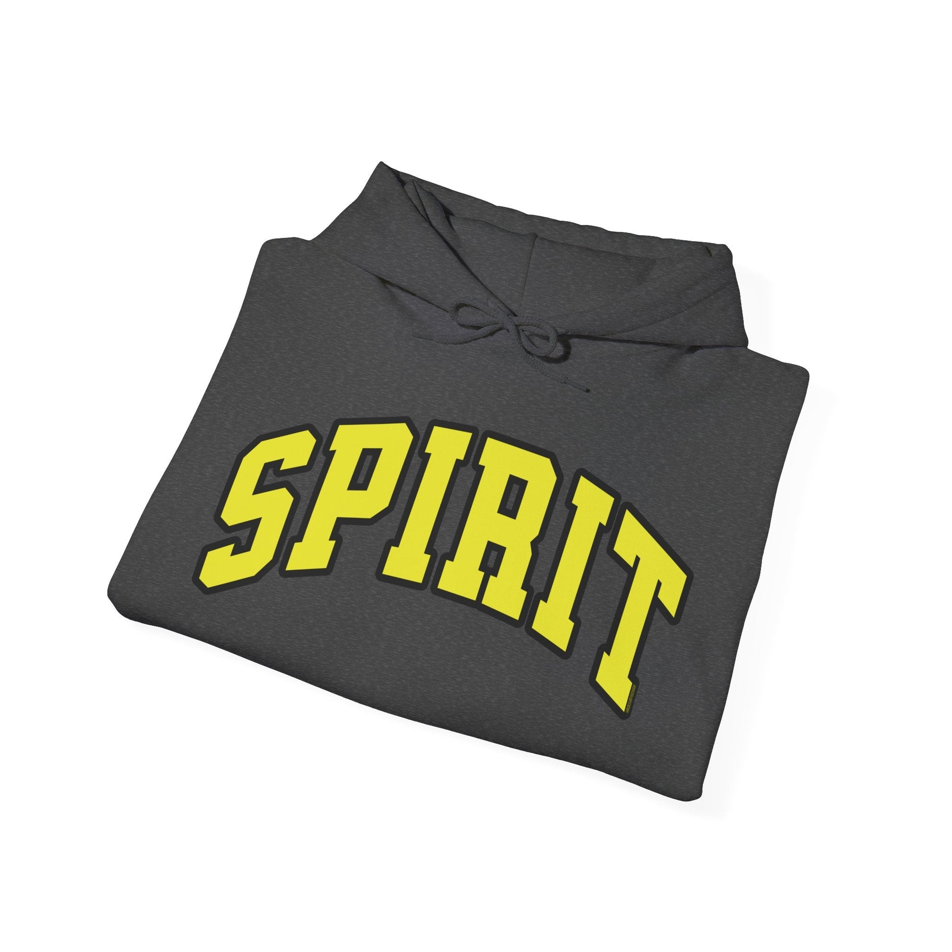 Spirit Unisex Heavy Hoodie | Chix Sports